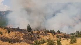 Tunceli'de Orman Yangınına Müdahale