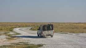 Tuz Gölü'nde Yaralı Eşek İçin Harekete Geçildi
