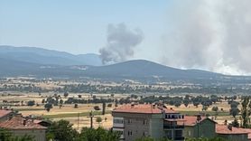 Uşak'ta Meşelik Alanda Yangın Çıktı