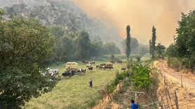 Uşak'ta Orman Yangınına Müdahale Devam Ediyor