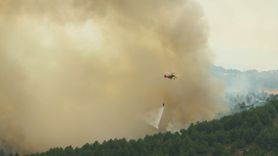 Uşak'taki Orman Yangını Kontrol Altına Alındı