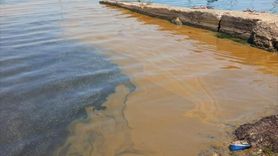 Yalova'da Deniz Kirletme İddiası: İnceleme Başlatıldı