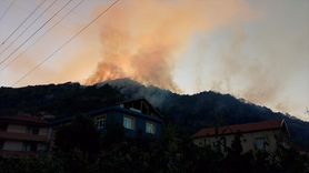 Zonguldak'ta Orman Yangını Kontrol Altına Alındı