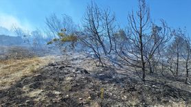 Zonguldak'taki Yangın Kontrol Altına Alındı