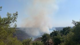 Adana'da Orman Yangını: Havadan ve Karadan Mücadele