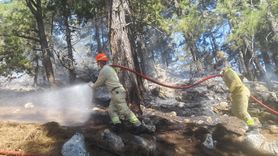 Adana'da Orman Yangını Kontrol Altına Alındı