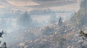 Adana'da Orman Yangını Kontrol Altına Alındı