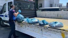 Adana’da Sağlıksız Ürünlere Geçit Yok