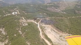 Adana'daki Orman Yangını Kontrol Altına Alındı