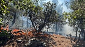 Adana Feke'de Orman Yangını: Müdahale Devam Ediyor