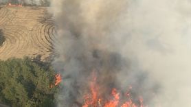 Adana İmamoğlu'nda Orman Yangını!