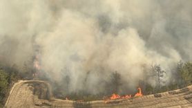 Adana İmamoğlu'ndaki Orman Yangını Kontrol Altına Alındı