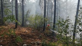 Adana Pozantı'da Otomobil Yangını Ormana Sıçradı