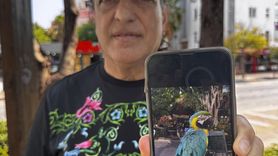 Antalya'da Bulunan 28 Yıllık Papağan İçin Yardım İsteniyor