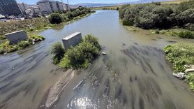 Ardahan'daki Kura Nehri'nde Sıcakların Etkisiyle Yosun Oluşumu