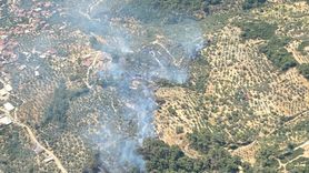 Aydın'da Orman Yangını Kontrol Altına Alındı