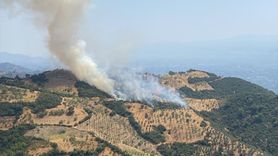 Aydın'da Tarım Arazisinde Yangın Kontrol Altına Alındı