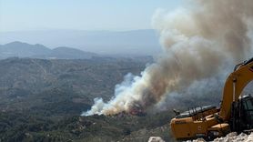 Aydın'ın Germencik İlçesinde Orman Yangını Çıktı