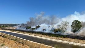 Ayvacık'ta Çöplük Yangını Ormana Sıçradı