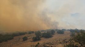 Balıkesir'deki Orman Yangını Kontrol Altına Alındı