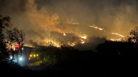 Balıkesir'de Yangın Kontrol Altına Alındı