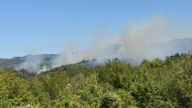 Bartın'da Orman Yangınına Müdahale Başlatıldı