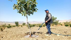 Batman'da Fıstık Üreticileri Hasat Öncesi Sulama Yapıyor