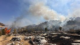 Bingöl'deki Orman Yangını Kontrol Altına Alındı