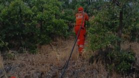 Bingöl Kiğı'da Orman Yangını Kontrol Altına Alındı