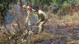 Bitlis'te Yangın Kontrol Altına Alındı