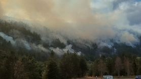 Bolu'da Orman Yangını Kısmen Kontrol Altına Alındı