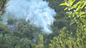 Bolu'da Orman Yangınına Müdahale Ediliyor