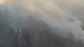 Bolu'daki Orman Yangını Kısmen Kontrol Altına Alındı
