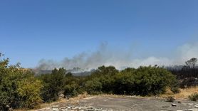 Bursa'daki Orman Yangını Kontrol Altına Alındı