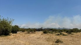 Bursa'daki Orman Yangınına Hızlı Müdahale