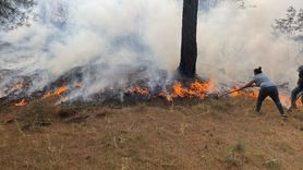 Çanakkale'deki Orman Yangını Kontrol Altına Alındı