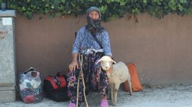 Çanakkale'de Otluk Alanda Yangın ve Müdahale Çalışmaları