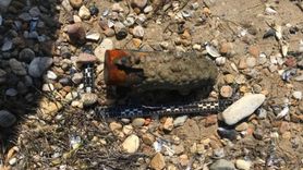 Çanakkale'de Sahilde Patlamamış Top Mermisi Tespit Edildi