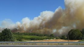 Çanakkale'de Tarım Arazisinde Yangın Çıktı
