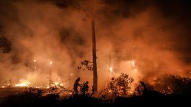 Çanakkale Gelibolu'da Orman Yangınına Hızla Müdahale Ediliyor