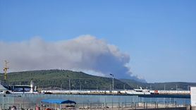 Çanakkale Gelibolu'da Orman Yangınına Müdahale