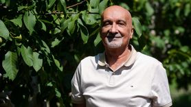 Ceviz Üretiminde Akıllı Böceklerle Biyolojik Mücadele