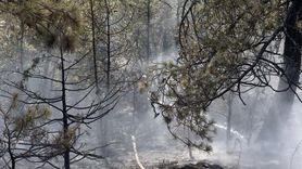 Çorum'da Orman Yangını Kontrol Altına Alındı