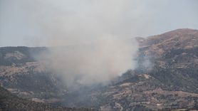Çorum'da Orman Yangınına Müdahale Ediliyor