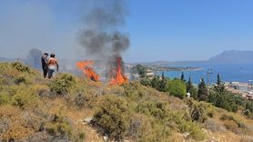 Datça'daki Makilik Yangını Kontrol Altına Alındı