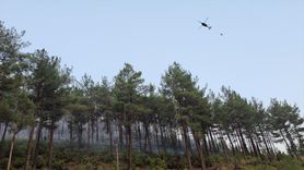 Denizli Acıpayam'da Orman Yangını Kontrol Altına Alındı