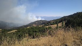 Denizli'deki Orman Yangınına Müdahale Devam Ediyor