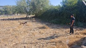 Diyarbakır'da Arazi Anlaşmazlığı Nedeniyle Silahlı Kavga: 2 Ölü, 4 Yaralı