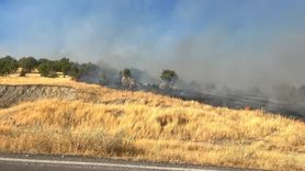 Diyarbakır'da Orman Yangınlarına Müdahale