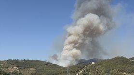 Düziçi'nde Orman Yangınına Müdahele Devam Ediyor